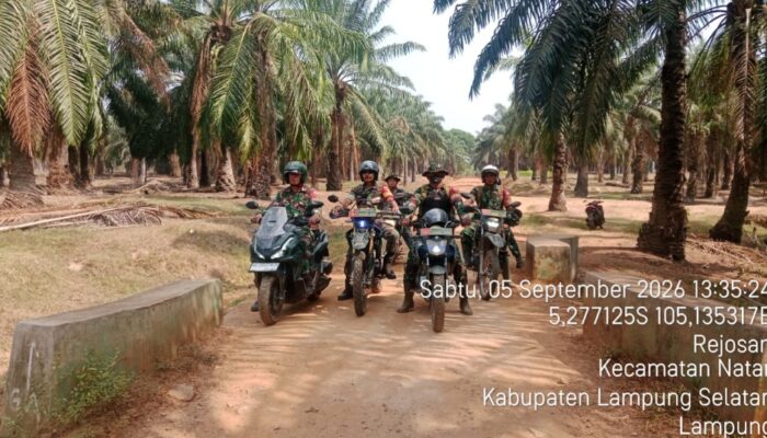 Cegah Karhutla, Babinsa Koramil 421-06/Natar Sisir 4.984 Hektare Kebun Sawit PTPN IV Regional VII Rejosari