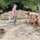 Babinsa Koramil 421-06/Natar Turun Langsung, Gotong Royong Benahi Saluran Air dan Talud Bersama Warga