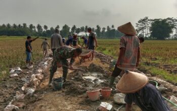 Tak Sekadar Mendampingi, Babinsa Kalisari Ikut Adukan Semen Bangun Talud