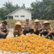 Panen Raya Jagung Serentak, Polsek Kuala Cenaku Dorong Penguatan Ketahanan Pangan