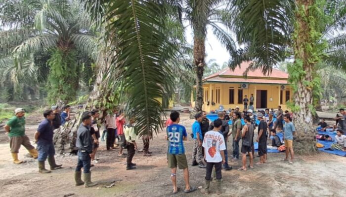 Puluhan Orang Masuk Areal PT SBL, Legalitas KSO CV Java Victory Dipertanyakan